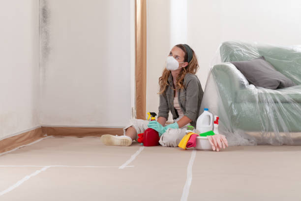 Reliable Mold Testing contractor in Franklin, NJ by WQB Mold Removal